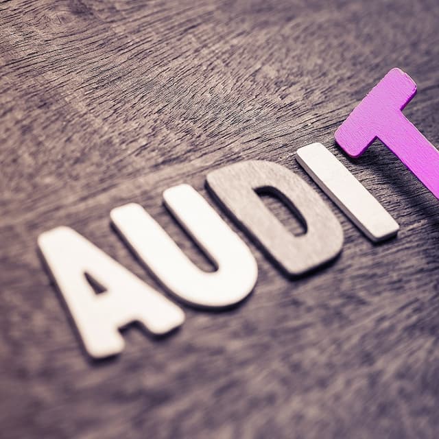 Сomisiile de cenzori ale întreprinderilor de stat pot fi substituite de comitetele de audit