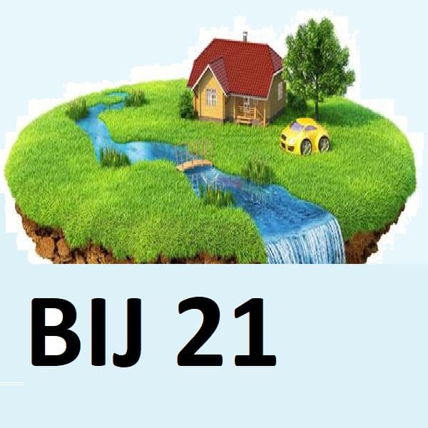 BIJ 21.  Новый формуляр расчета по налогу на недвижимое имущество