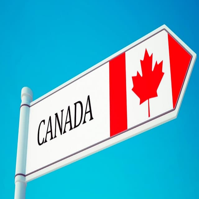 Guvernul a susținut Acordul de protejare reciprocă a investițiilor cu Canada