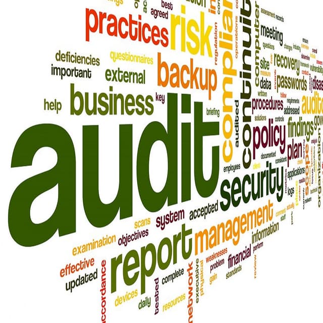 Controlul fiscal vs auditul obligatoriu