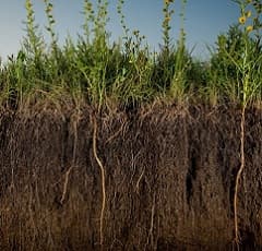 Guvernul luptă cu degradarea solurilor