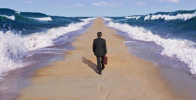 Эффективный сотрудник — никакой не винтик