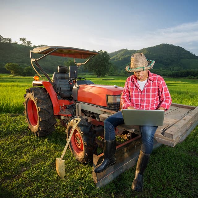 Declarațiile de producător și de producător casnic. Reguli unice pentru toate persoanele fizice