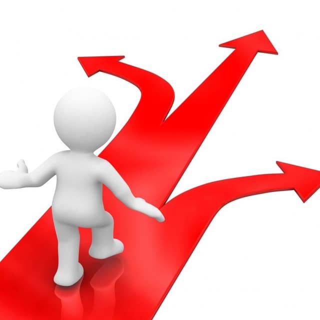 SFS oferă agenților economici suport informațional