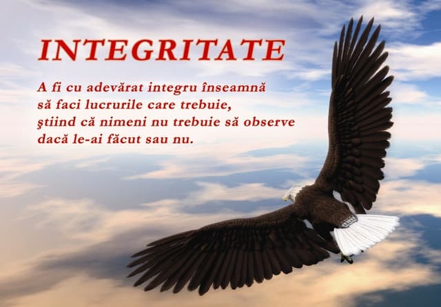 Legea integrității, adoptată de Parlament