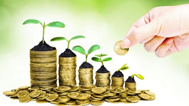 Twinning-ul în domeniul subvenționării agrare a fost lansat