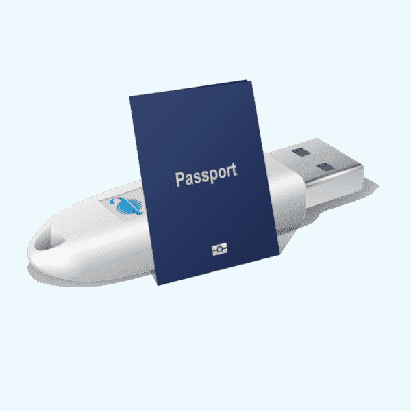 Utilizarea serviciilor fiscale electronice de către persoanele nerezidente