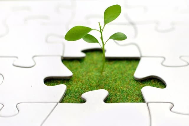 Statul ar putea acorda subvenții pentru dezvoltarea agriculturii ecologice