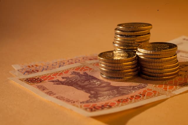 Внешний долг Молдовы в 2016 г. увеличился