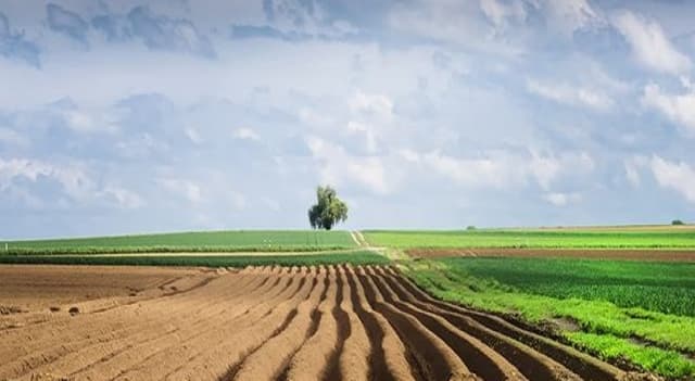 Subvenţii în avans: condițiile și procedura de acordare pentru îmbunătățirea funciară