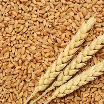 Evidența contabilă și regimul fiscal al plăților stimulatorii oferite în expresie  naturală