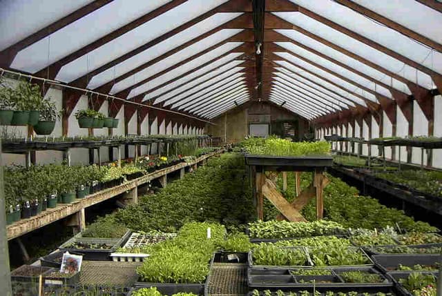 7 idei de afaceri în agricultură profitabile pe suprafeţe mici şi foarte mici