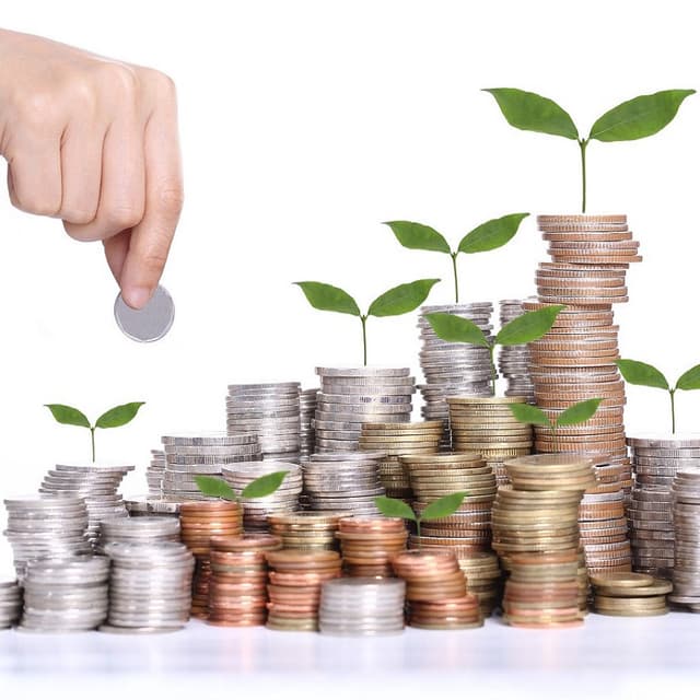 Investiții de miliarde în horticultură