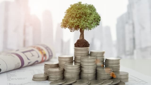 Investițiile în active imobilizate. Datele precizate pentru anul 2020