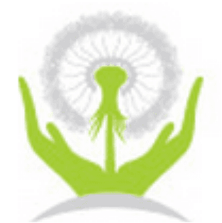 CNAM: Necesitatea creşterii volumului şi calităţii serviciilor medicale implică majorarea graduală a cheltuielilor publice pentru sănătate