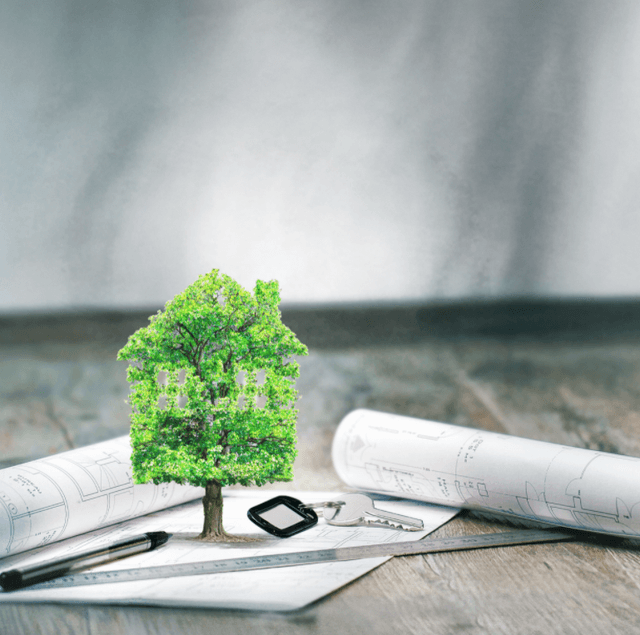 Национальный экологический фонд: порядок формирования и управления