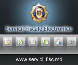 Serviciul electronic „Fişa personală a contribuabilului”