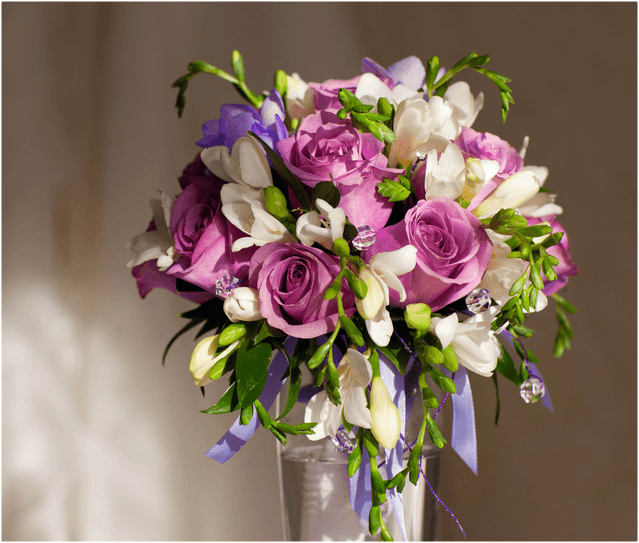 Mesajul Administratorului Î.S. "Fiscservinform" cu ocazia zilei internaţionale a femeii