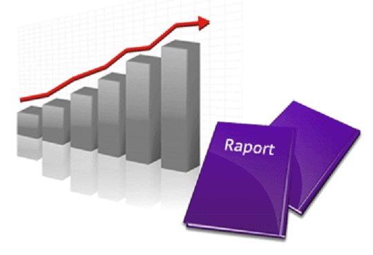 Raportul conducerii – parte componentă a raportului anual al entității