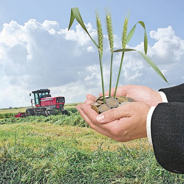 Сriteriile de evaluare a dosarelor de subvenţionare