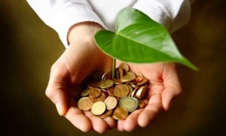 Conceptul de economie verde prinde rădăcini în Moldova. Micii antreprenori vor fi chestionaţi privind practicile ecologice în afaceri