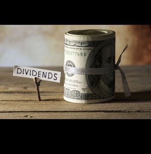 IALS18: reflectarea dividendelor achitate persoanelor juridice