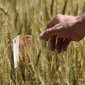 Condițiile Programului de rambursare a TVA pentru producătorii agricoli