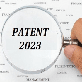 Extinderea termenului de valabilitate al patentei de întreprinzător în comerț a fost susținut de principiu