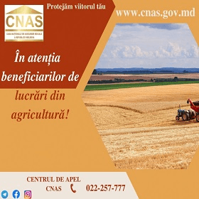 CNAS: calcularea și achitarea contribuțiilor de asigurări sociale de către beneficiarii muncii zilierilor