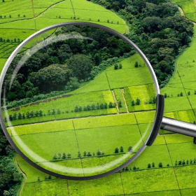 Рыночная плата за аренду государственных земель 