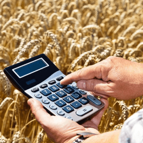 Calcularea costului unitar al produselor unor culturi agricole 