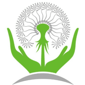 Fondatorii ÎI și pensionarii deținători de patentă achită prima de asigurare medicală în sumă fixă