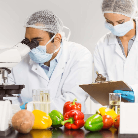 Noul standard ocupațional „Tehnician în alimentație publică”