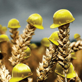 Asigurarea subvenționată: cota rămâne neschimbată 