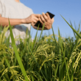 Alte criterii de subvenționare din FNDAMR