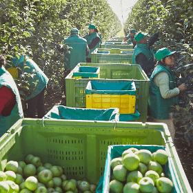 Transportarea organizată a zilierilor: deducerea cheltuielilor 