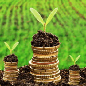 Новый закон о субсидировании в сельском хозяйстве и сельской местности