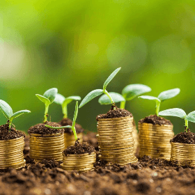 Subvenţiile în avans pentru proiectele de îmbunătăţiri funciare pot fi solicitate până la 21 aprilie