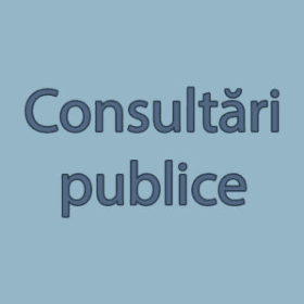 Proiectul Registrului de evidență a procurărilor pentru persoanele fizice care desfășoară activitate independent, înaintat pentru consultări publice