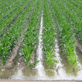 В Молдове будет создано Национальное агентство по мелиорации