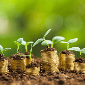 Gestiunea bugetelor de venituri și cheltuieli pentru culturi agricole în sezonul agricol 2023-2024 în RM