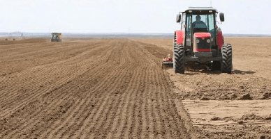 Минсельхоз разработал проект положения о порядке предоставления помощи фермерам, пострадавшим от кризисов 2022 г.