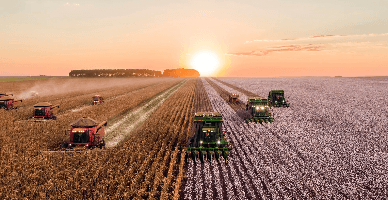 Producția globală agricolă în I semestru 2023