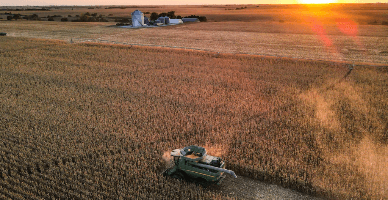 Cererile de solicitare a ajutorului pentru fermieri afectați de crizele din 2022 pot fi depuse începând de astăzi