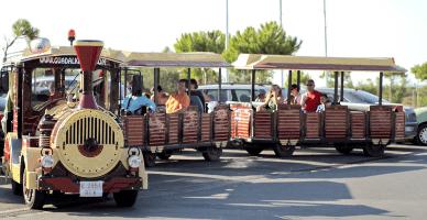 Darea în chirie a mijloacelor de transport pentru copii în zonele de agrement. Obligația utilizării ECC