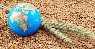 В Молдове облегчат деятельность в продовольственной сфере