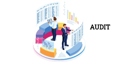 Auditul obligatoriu al rezidenților Parcului IT pentru anul 2023