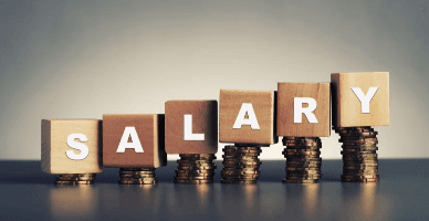 În ce domenii au fost înregistrate cele mai mari salarii în anul 2023?