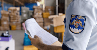 Serviciul Vamal: prevederi legale privind transportarea prin vamă a instrumentelor musicale