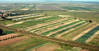 APL vor decide transmiterea în arendă a terenurilor cu destinație agricolă proprietate privată neîntreținute 